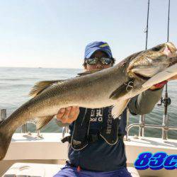 オーシャンマスター 釣果
