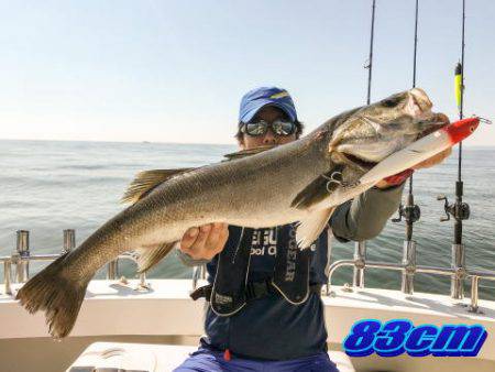 オーシャンマスター 釣果