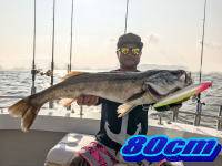 オーシャンマスター 釣果