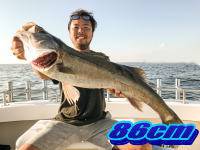 オーシャンマスター 釣果