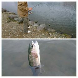 みどりフィッシングエリア 釣果