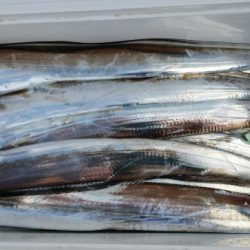 オーフリー 釣果