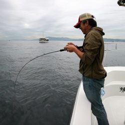 フルコンタクト 釣果