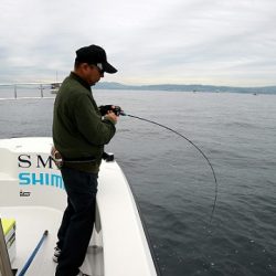 フルコンタクト 釣果