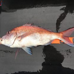 長栄丸(千葉) 釣果