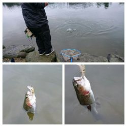 みどりフィッシングエリア 釣果