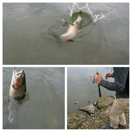 みどりフィッシングエリア 釣果