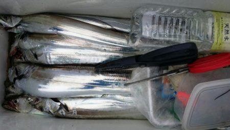 オーフリー 釣果