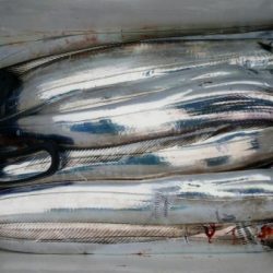 オーフリー 釣果