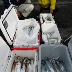 オーフリー 釣果