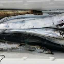 オーフリー 釣果