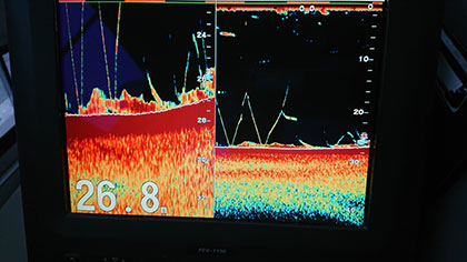 松本釣船２ 釣果