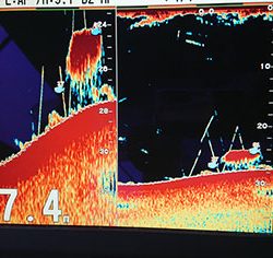 松本釣船２ 釣果