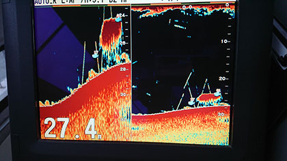 松本釣船２ 釣果