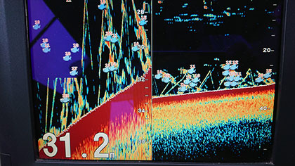 松本釣船２ 釣果