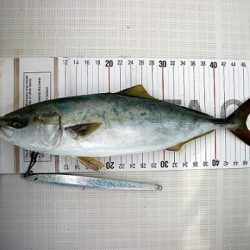 フルコンタクト 釣果