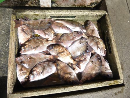 海釣り公園みかた 釣果