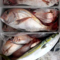 来温丸（らいおんまる） 釣果