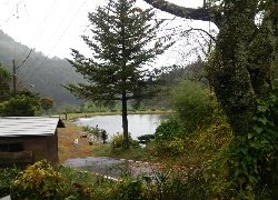 フィッシング母袋 釣果