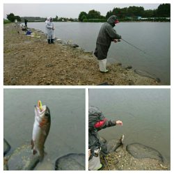 みどりフィッシングエリア 釣果