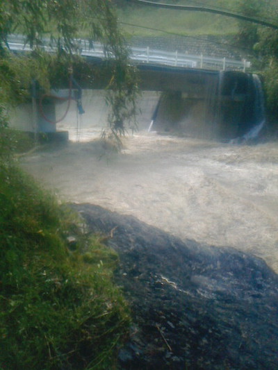 安倍川・藁科川（安倍藁科川漁業協同組合） …