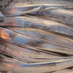 オーフリー 釣果