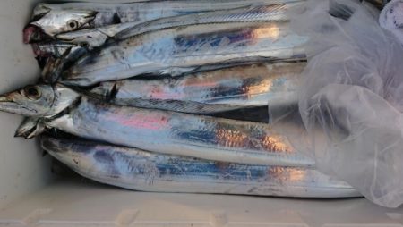 オーフリー 釣果