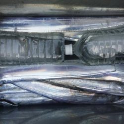 オーフリー 釣果