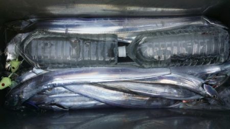 オーフリー 釣果