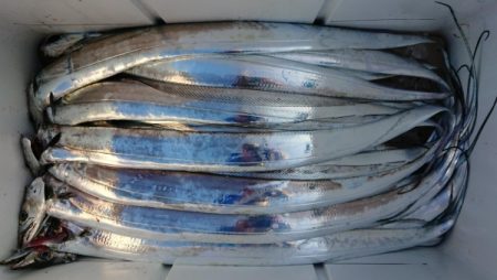 オーフリー 釣果