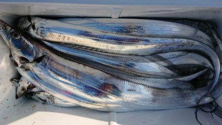 オーフリー 釣果