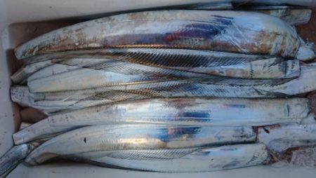 オーフリー 釣果