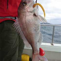 マタウマリンサービス 釣果