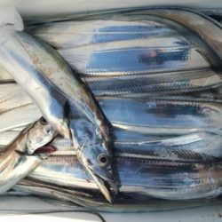 オーフリー 釣果