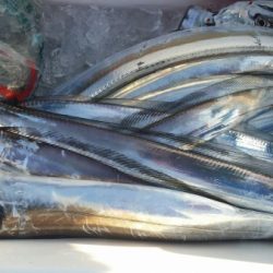 オーフリー 釣果