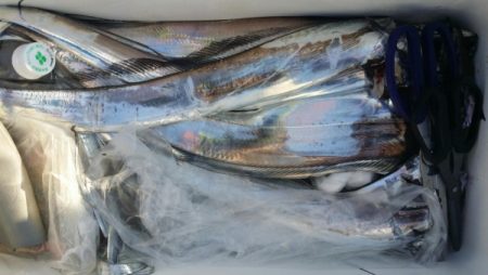 オーフリー 釣果