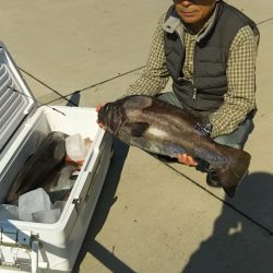 モンロー号 釣果