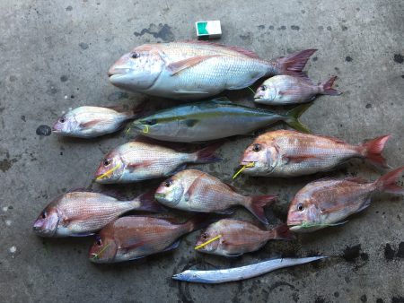 長栄丸(千葉) 釣果