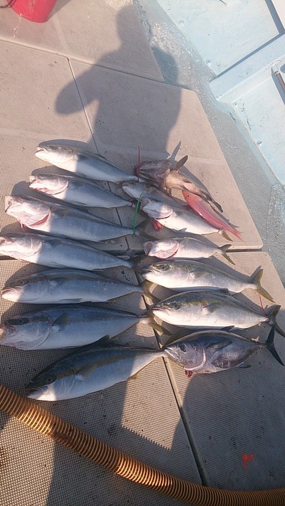 旭星釣りセンター 釣果