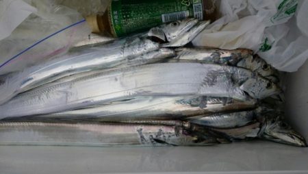 オーフリー 釣果