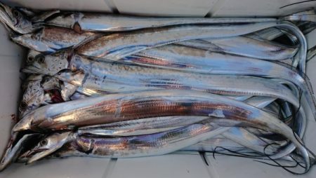 オーフリー 釣果