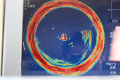 松本釣船２ 釣果