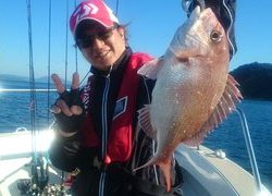 愛裕南丸 釣果