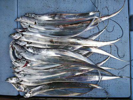 第二常豊丸 釣果