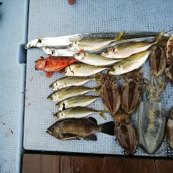 第二常豊丸 釣果