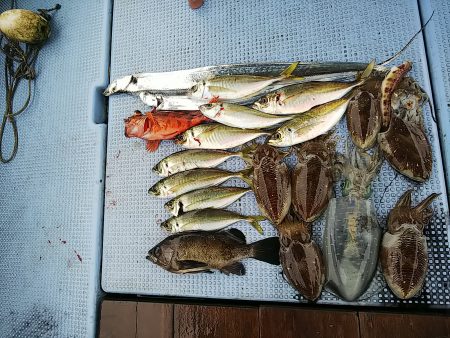 第二常豊丸 釣果