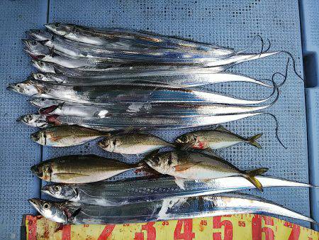 第二常豊丸 釣果