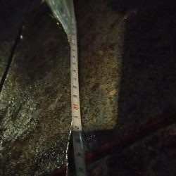 激シブワインド