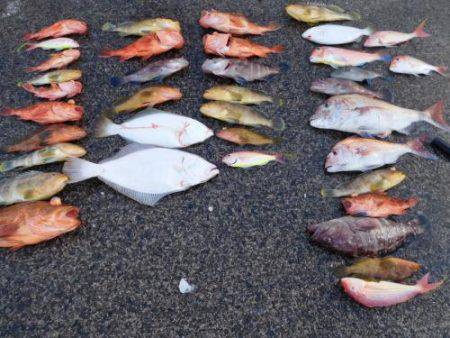 第二一之紀丸（ダイニイチノキマル） 釣果