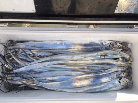 遊漁船高橋 釣果